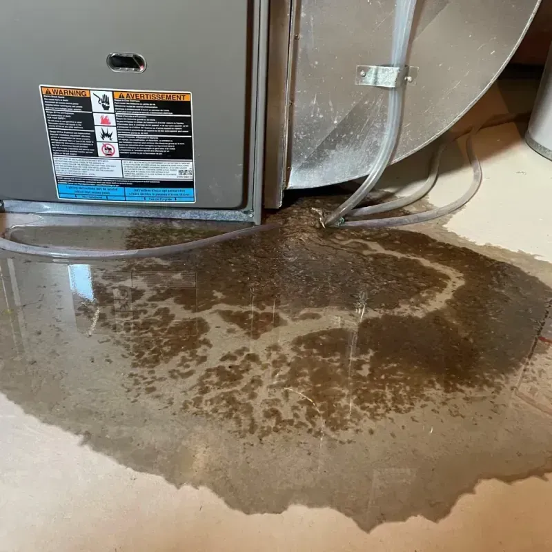 Appliance Leak Cleanup in West Mountain, UT